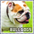 Dogs: Bulldogs
