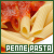  Penne: 